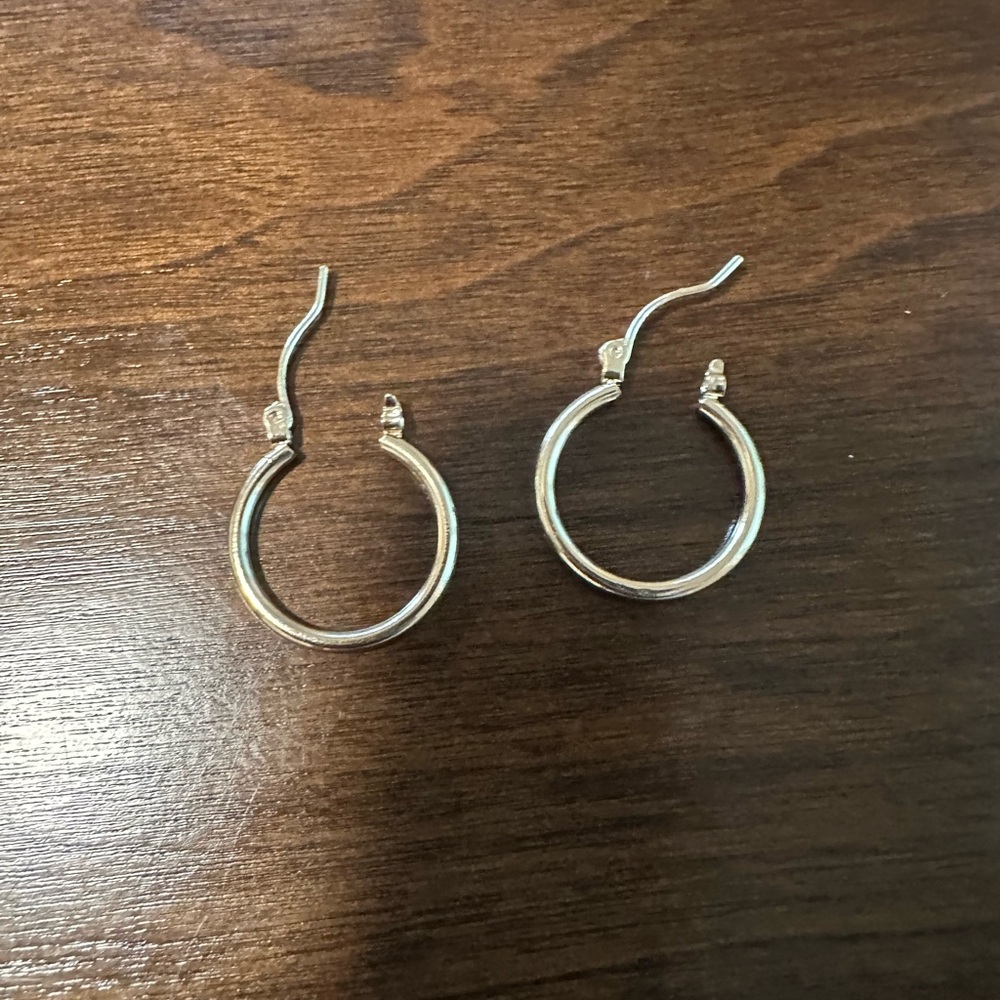 Elegant Gold Hoop Earrings